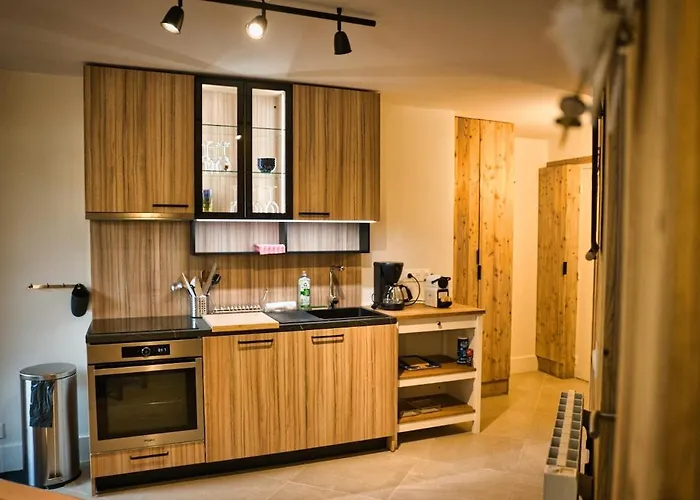 Apartament Au Pied Des Pistes Confort Pour 6 Avec Terrasse Les Deux Alpes