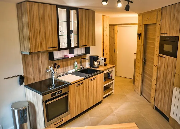 Au Pied Des Pistes Confort Pour 6 Avec Terrasse * Les Deux Alpes